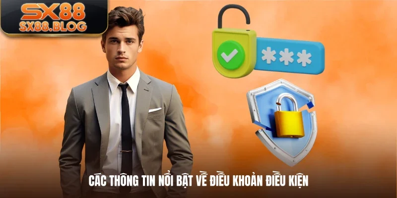 Các thông tin nổi bật về điều khoản điều kiện