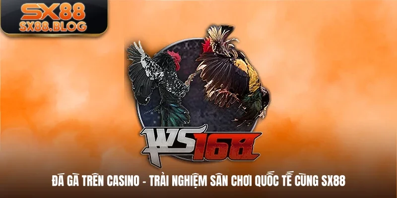 Đá Gà Trên Casino - Trải Nghiệm Sân Chơi Quốc Tế Cùng SX88