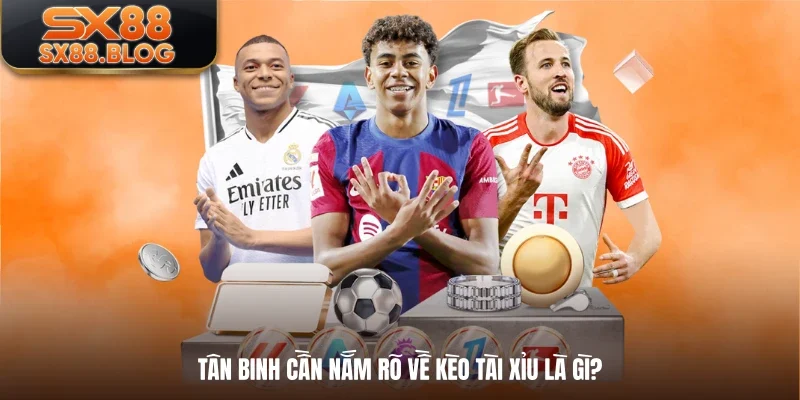 Tân binh cần nắm rõ về kèo tài xỉu là gì?